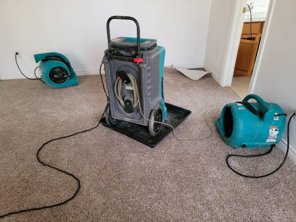 Best Mold removal after water damage  in Myersville, MD