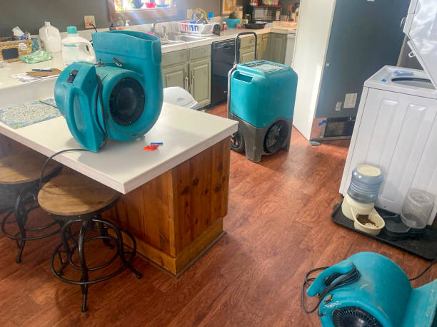 Best 24-hour water damage restoration  in Myersville, MD