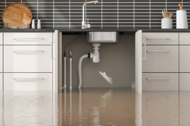 Best 24/7 water damage repair  in Myersville, MD