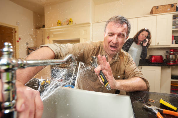 Best Mold removal after water damage  in Myersville, MD
